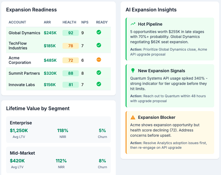 Customer Intelligence Analysis